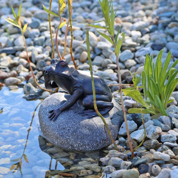 CLGarden figura di rana a bocca d'acqua su pietra per laghetto da giardino fontana bacino figura decorativa laghetto d'acqua