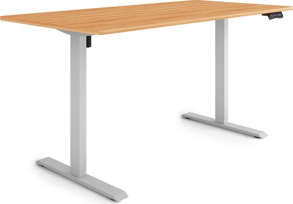 ESMART Germany ETX-121GM 160 x 80 cm Decorazione acero Scrivania ergonomica sit-stand Regolabile elettricamente in altezza in modo continuo 73,5 - 123,5 cm 3x memoria Promemoria attività Soft-Start/Stop Montaggio rapido