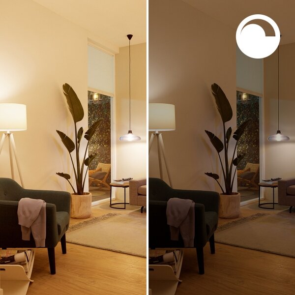 Confezione da 2 lampadine LED RGB dimmerabili Philips SMART A60 E27/8,5W/230V 2200-6500K + telecomando