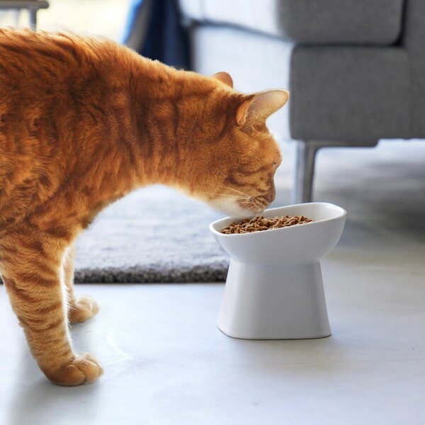 Ciotola in ceramica per animali domestici Tower - YAMAZAKI