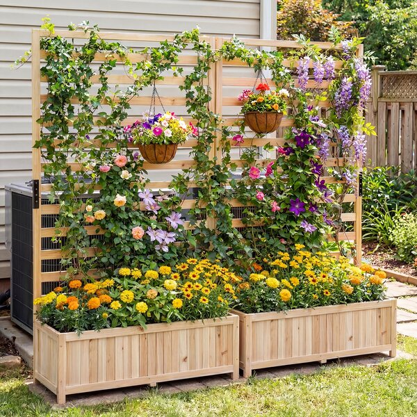 Costway Letto da giardino rialzato in legno con traliccio verticale fodera e drenaggio, Fioriera elevata per interno esterno patio balcon Legno naturale
