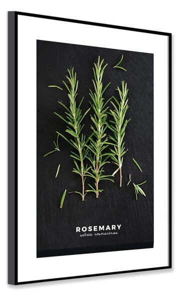 Dipinto 50x70 cm Rosemary – Styler