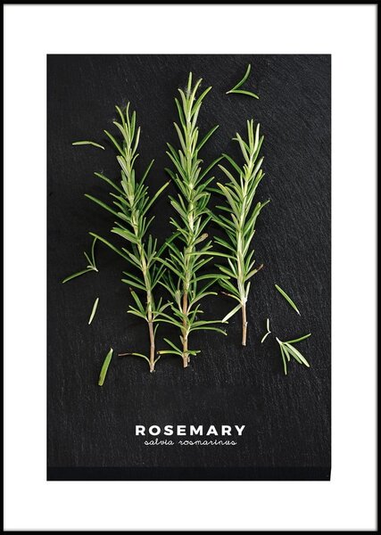 Dipinto 50x70 cm Rosemary – Styler