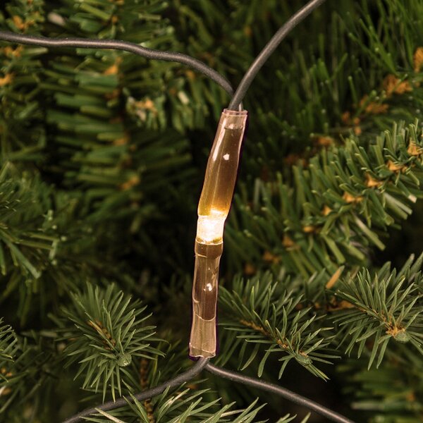 Mantello a rete di luci per Albero di Natale da 150cm a 380cm 198 Led Bianco Caldo Wisdom
