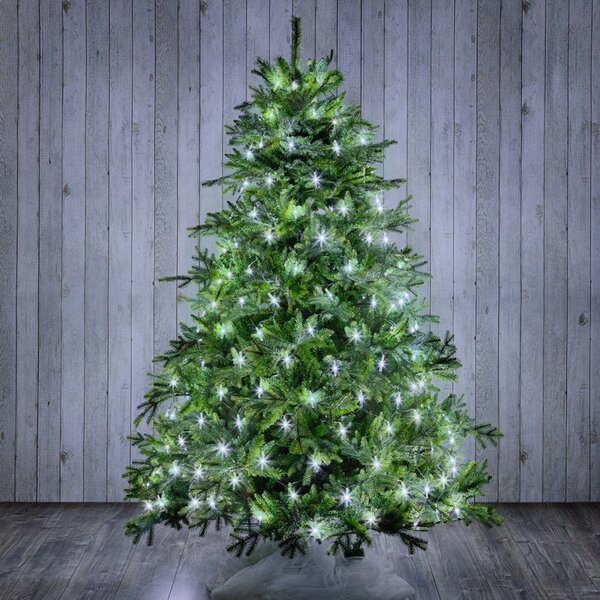 Mantello a rete di luci per Albero di Natale da 180cm a 210cm 198 Led Bianco Freddo Wisdom