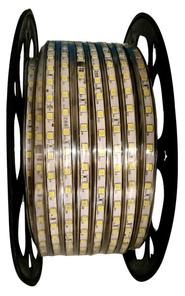 Striscia Led 220V 350W SMD 5050 Bobina 50 metri IP65 Bianco Freddo 6500K Aigostar