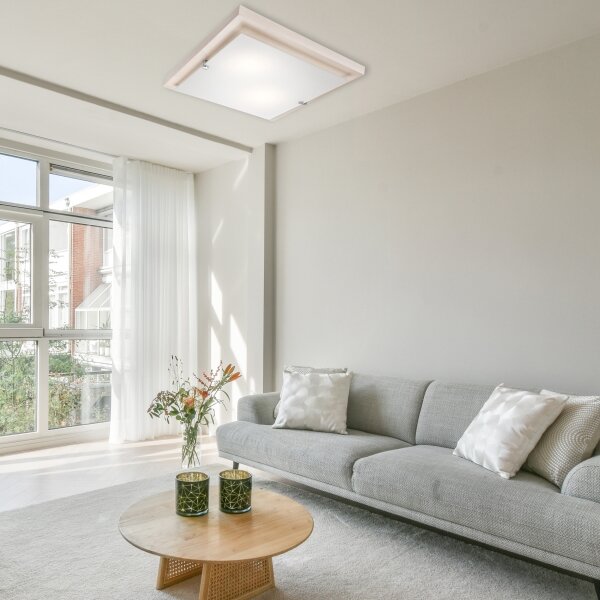 Lampada da soffitto 1xE27/60W/230V