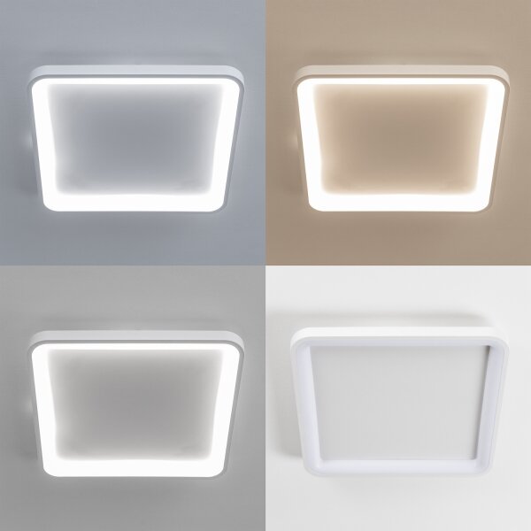 Brilagi - Plafoniera LED dimmerabile FALCON SLIM LED/50W/230V 50x50 cm bianca + telecomando