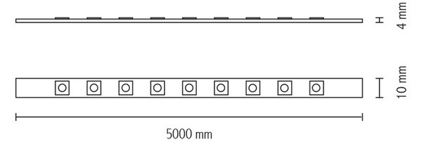 Striscia Led Professionale 24V 240W SMD 2835 5 metri IP65 Bianco Freddo 6000K Wisdom
