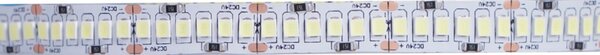 Striscia Led Professionale 24V 240W SMD 2835 5 metri IP65 Bianco Freddo 6000K Wisdom