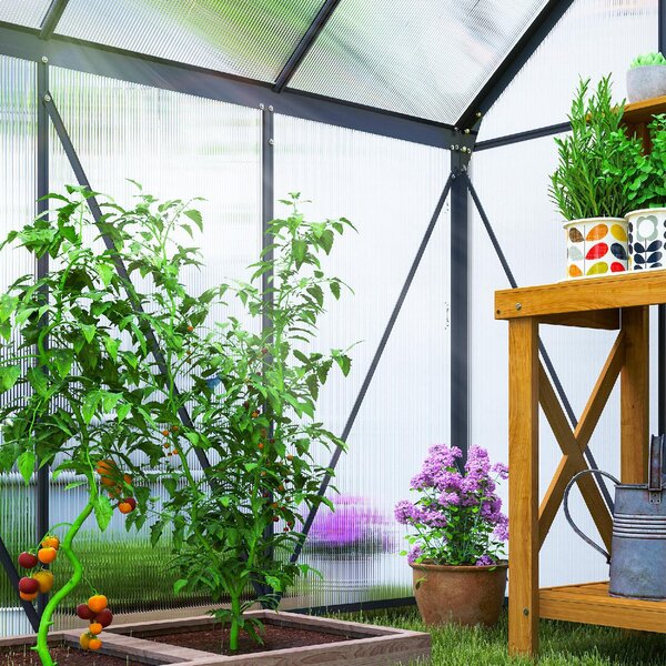 VivaGarden Serra in Policarbonato e Alluminio con Porta a Battente e Finestra a Tetto 3.6m2 colore Grigio