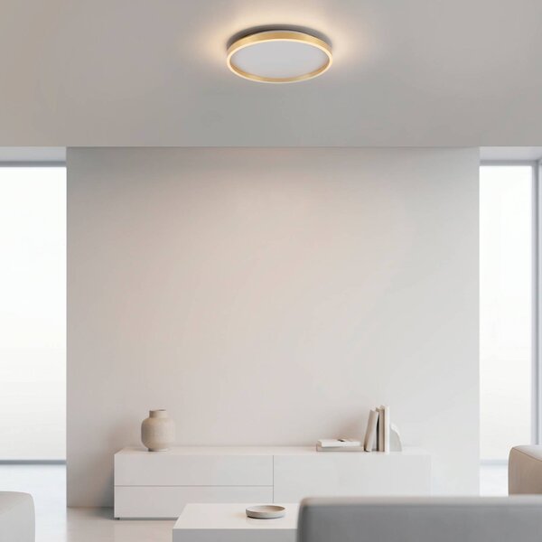 JUST LIGHT. GmbH Plafoniera soffitto Madlen, dimmerabile, Ottone / Oro, Soggiorno / Sala da pranzo, Metallo, Moderno, Plafoniera