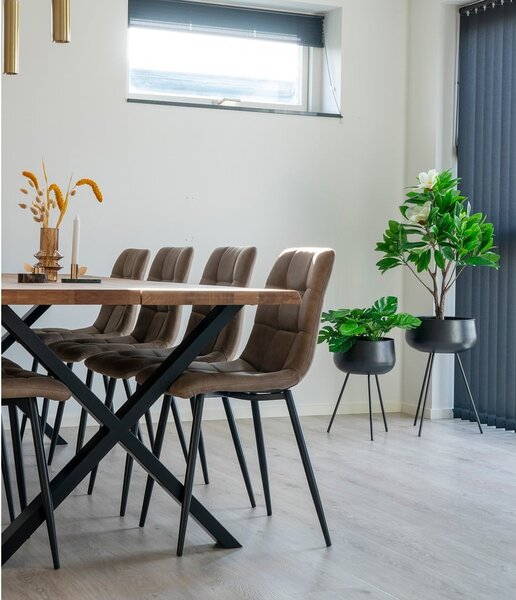 Sedie da pranzo in set marrone chiaro 2 pz Moseby – Bonami Essentials