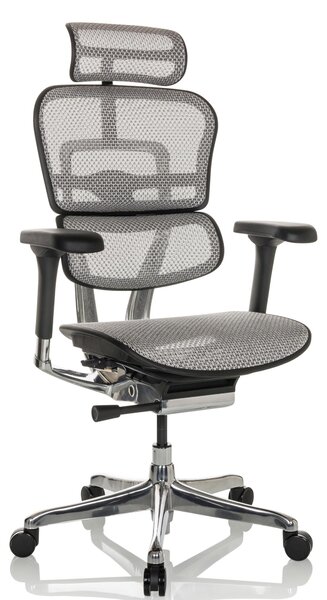 Sedia da ufficio ergonomica con supporto lombare, seconda generazione, colore grigio rete