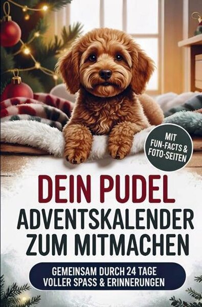 Calendario dell'Avvento DEIN Pudel per partecipare: