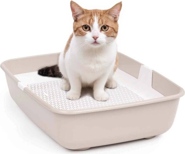 Lettiera Lettiera per gatti con setaccio per la pulizia Lettiera per gatti grande Beige