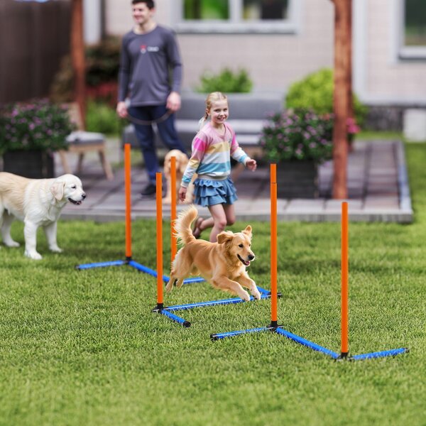 PawHut Set Agility per Cani 3 pezzi Attrezzatura Agility con pali da slalom Borsa da trasporto Set di allenamento per tutte le taglie Arancione | Aosom Italy