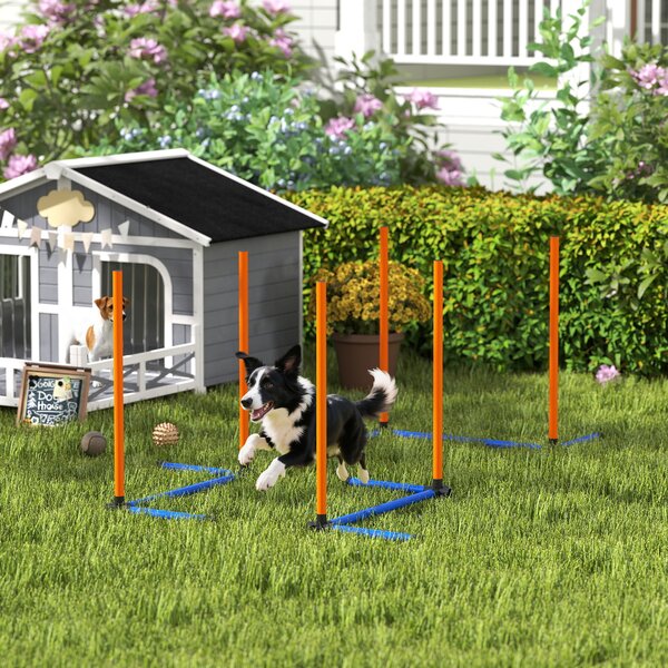 PawHut Set Agility per Cani 3 pezzi Attrezzatura Agility con pali da slalom Borsa da trasporto Set di allenamento per tutte le taglie Arancione | Aosom Italy