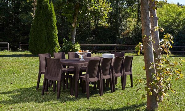 Tavolo da giardino allungabile 8-10 posti 150/220x90cm marrone - Abbaviva