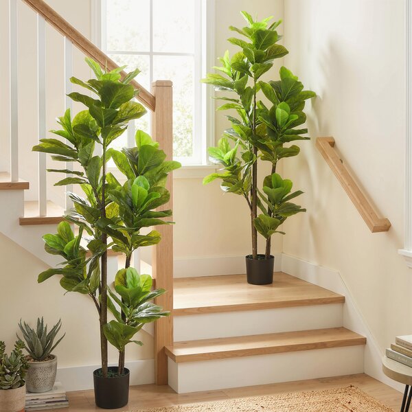 HOMCOM Set da 2 piante artificiali da interno 150 cm, ficus lyrata con vaso in cemento, verde | Aosom Italy