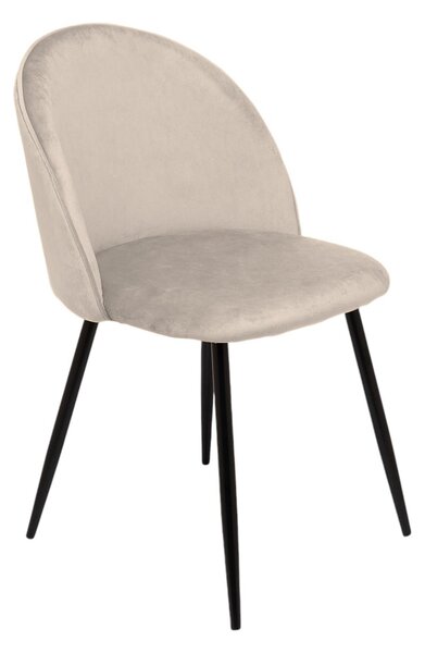 Set di 4 sedie soggiorno imbottite in velluto grigio chiaro - Achito