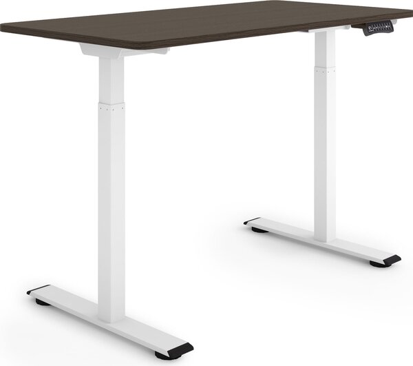 ESMART Germany ERX-122WE 120x60 cm Decorazione ebano Scrivania ergonomica sit-stand Regolabile elettricamente in altezza in modo continuo 73,5-122,5 cm 3 memorie Ricordo attività Doppio motore Montaggio rapido