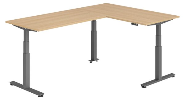 Scrivania angolare bümö regolabile elettricamente in altezza, forma a L - Struttura: grafite, finitura: rovere, dimensioni: scrivania angolare 160 x 240 cm