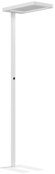 HOMCOM Lampada LED che protegge gli occhi a piantana con telecomando e luminosità regolabile, 60x32x196 cm, Bianco | Aosom Italy