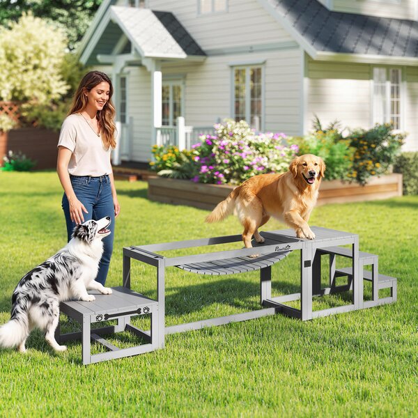 PawHut Set Agility per cani 3 pezzi Attrezzatura Agility con ponte, scala, piattaforma, legno di abete, 117 x 50 x 56 cm, Grigio | Aosom Italy
