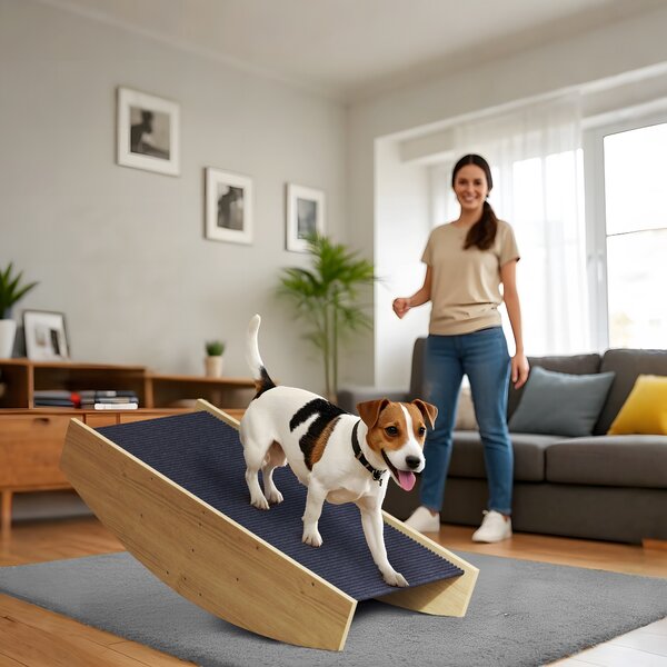 PawHut Altalena 2-in-1 per cani con scaletta, antiscivolo e abete, 80x39,5 cm, Legno naturale | Aosom Italy