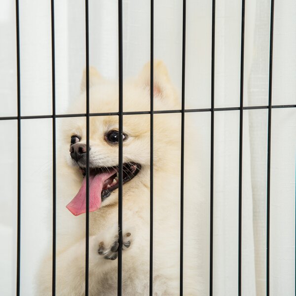 PawHut Cancelletto a 4 pannelli per Cani e animali Recinzione Autoportante con Piedini, 305x82 cm, Bianco | Aosom Italy