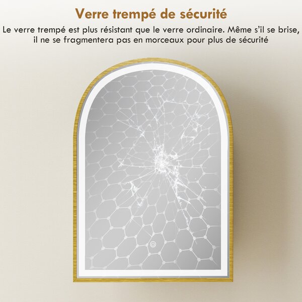 HOMCOM Armadio da parete bagno con specchio e illuminazione LED, porta ad arco, antiappannamento, 50x14,5x70cm, oro | Aosom Italy