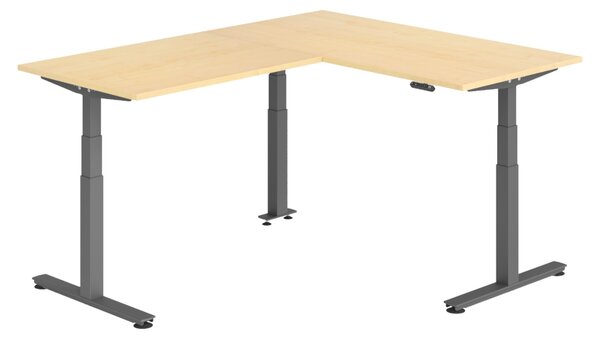 Scrivania angolare bümö regolabile elettricamente in altezza, forma a L - Finitura: acero, struttura: grafite, dimensioni: scrivania angolare 160 x 200 cm