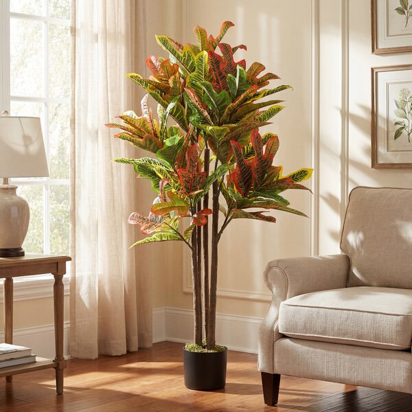 HOMCOM Pianta Artificiale di Croton Multicolore in PEVA e Legno con Vaso Contenitore in PP e Cemento, 55x55x120 cm | Aosom Italy