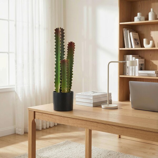 HOMCOM Cactus Artificiale 66 cm Pianta Artificiale Decorativa con Vaso e 3 Foglie per Decorazione d'Interni Verde | Aosom Italy