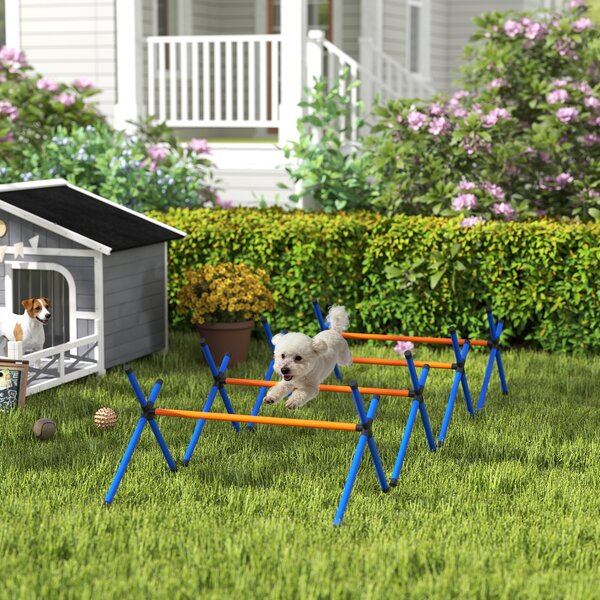 PawHut Set Agility per Cani, kit 4 pezzi con ostacoli, borsa da trasporto, set di allenamento con altezza regolabile per cani piccoli | Aosom Italy