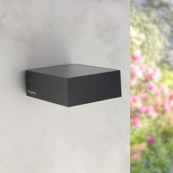 Applique Led da parete Bin 2W Nero con pannello solare IP65 Bianco neutro 4000K con sensore crepuscolare e di movimento iSG Lighting