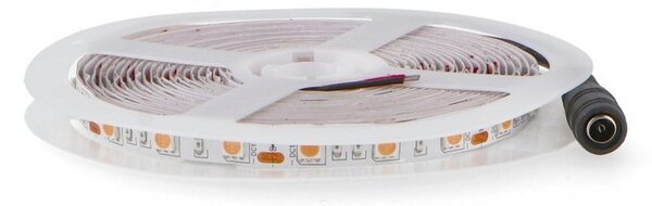 Striscia Led Purple 12V 70W SMD 5050 5 metri IP20 Viola M LEDME