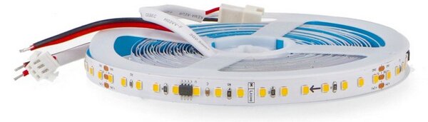 Striscia Led Digitale 24V 50W SMD 2835 5 metri IP20 Bianco freddo 6000K M LEDME