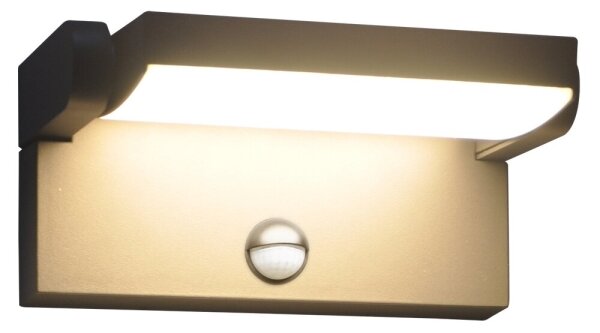 Brilagi - Applique LED da esterno ANKLE LED/12W/230V IP65 nera