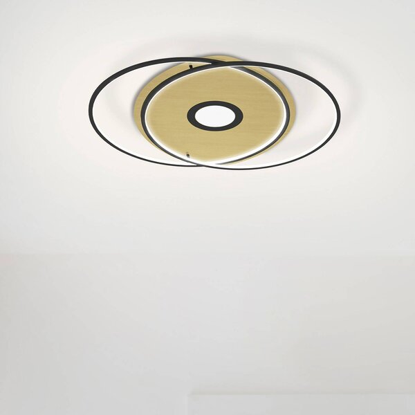 Q-Smart-Home Paul Neuhaus Q-AMIRA plafoniera LED ovale, nero
