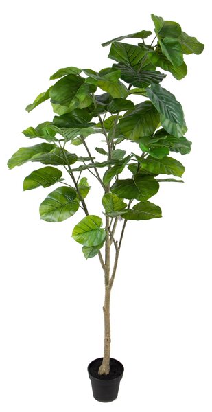 Pianta Artificiale di Ficus Real Touch con 64 Foglie in Vaso Altezza 200 cm Verde