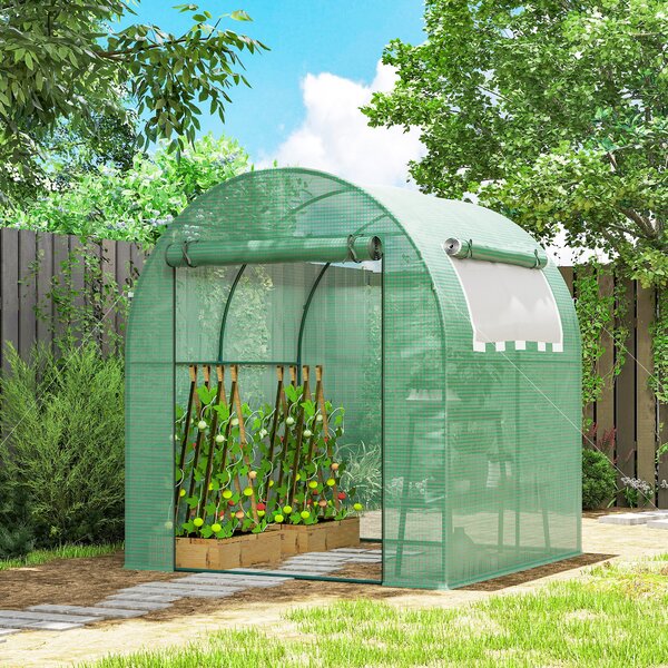 Outsunny Serra da Giardino a Tunnel con Porte e Finestre Avvolgibili in PE Verde, 180x180x200cm|Aosom