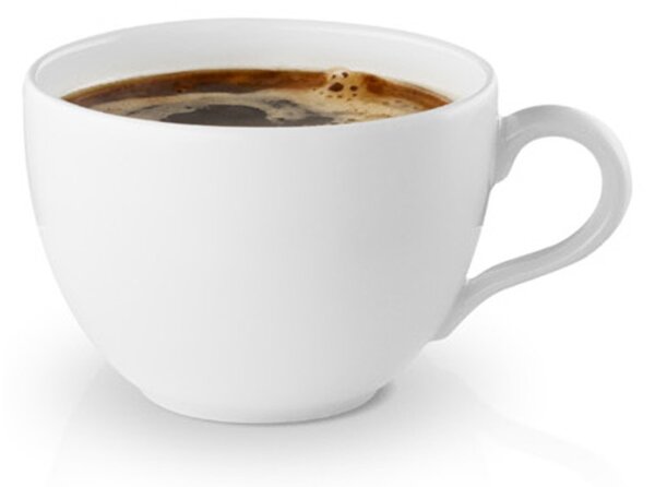 Eva Solo Tazza da Caffè 20cl Legio Porcellana Garanzia 10 anni