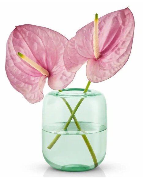 Eva Solo Acorn Vaso H16,5cm Mint Green Vetro Colorato Soffiato a Bocca