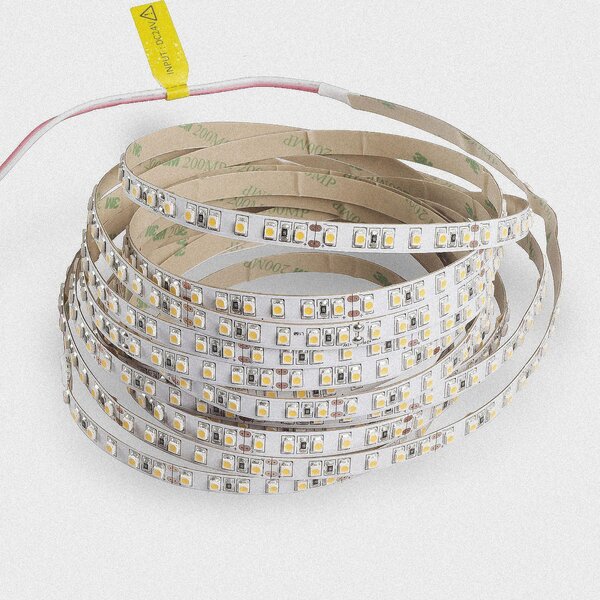 Striscia LED 3528 Bianco freddo (6000k) 48W 500CM 24V IP20