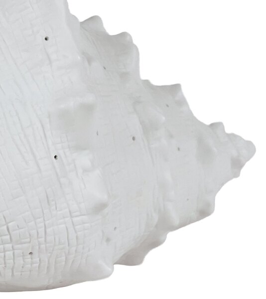 ONLI - Lampada da tavolo PORCELLANA 1xE14/6W/230V 29 cm conchiglia