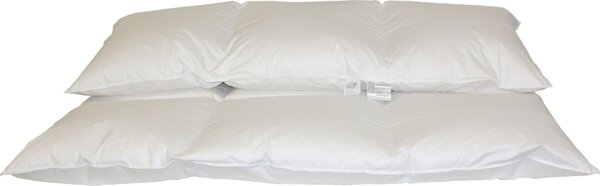 Hofmann Franken 8 cm HOCHSTEG Piumino invernale 155x220 cm 3x4 100% piumino d'oca