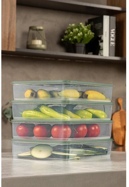 Scatole per alimenti in set 4 pz – Hermia