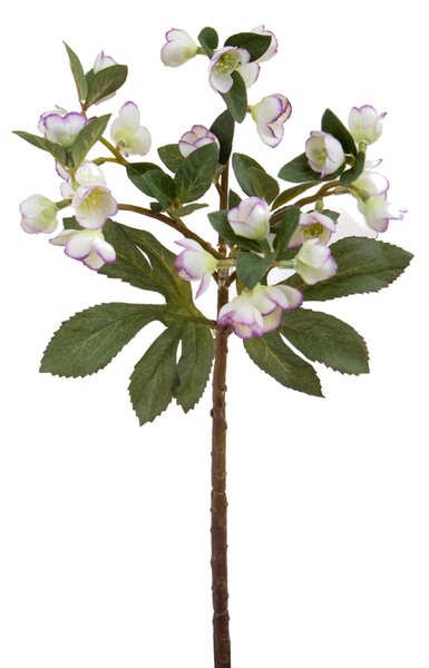 Set 4 Rami Artificiali di Helleborus Altezza 42 cm Bianco